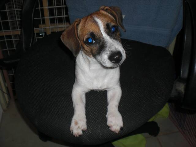 This is Red Sonja, out of Gunny and Tee